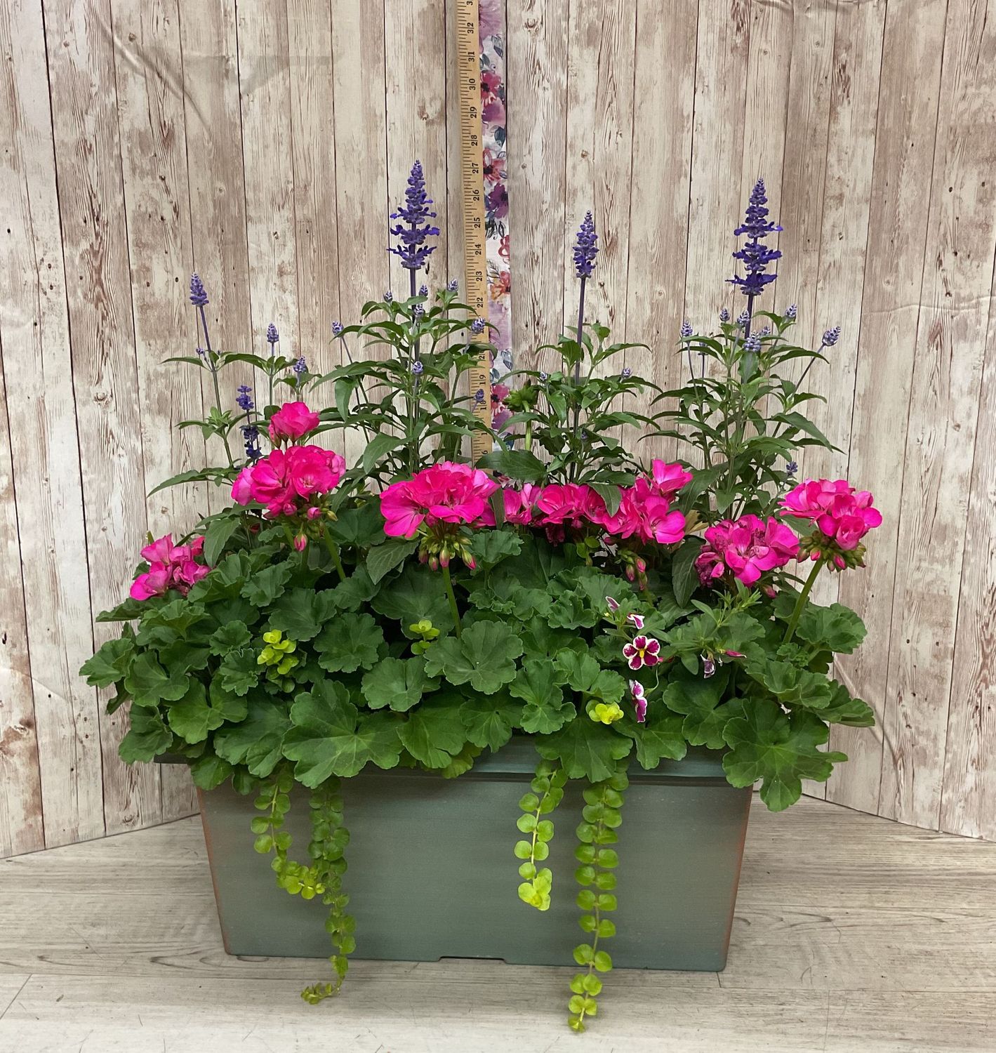 Large Rectangle Outdoor Planter for SUN with mixed annuals ***COLORS AND FLOWERS WILL VARY*** Item #WFEBT-456