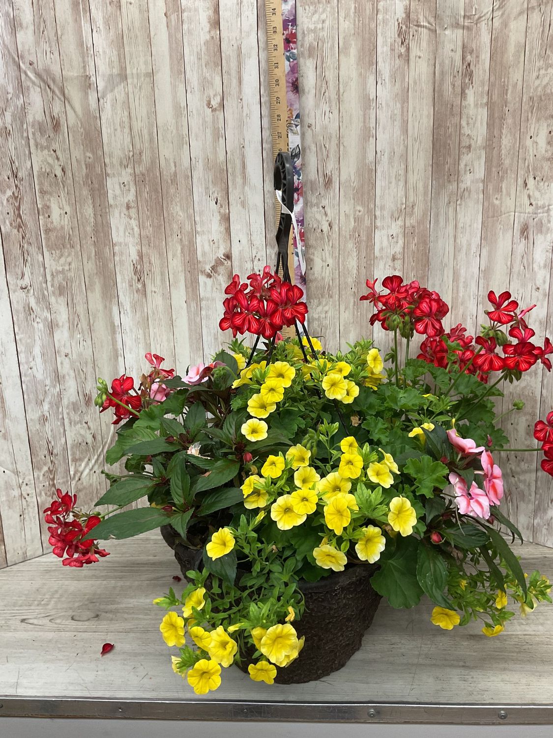Outdoor Hanging Basket for SUN with mixed annuals ***COLORS AND FLOWERS WILL VARY*** Item #WFEBT-459