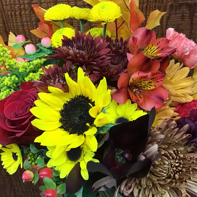 PREMIUM Designer’s Choice FALL COLORS #WFEBT-9023 PREMIUM Designer’s Choice FALL COLORS #WFEBT-9023
