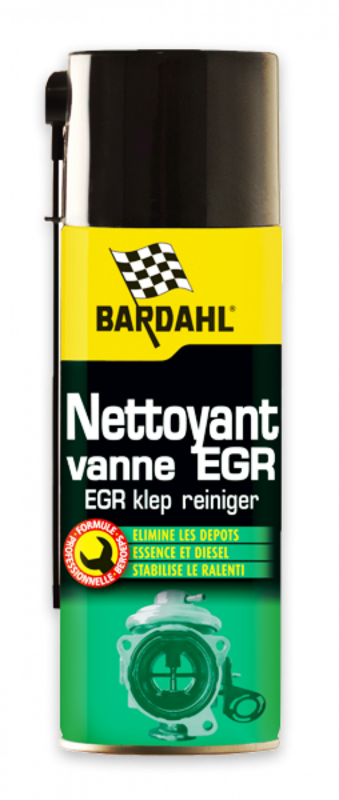 PULITORE EGR