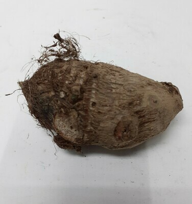 TARO 500 g