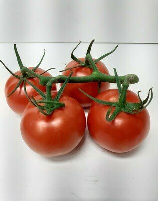 TOMATE 500 g