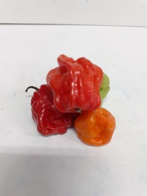 Piment Rouges 100 g