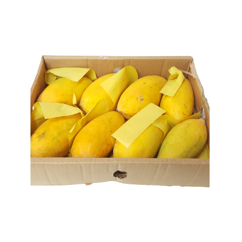 HONEY 6 Mangues