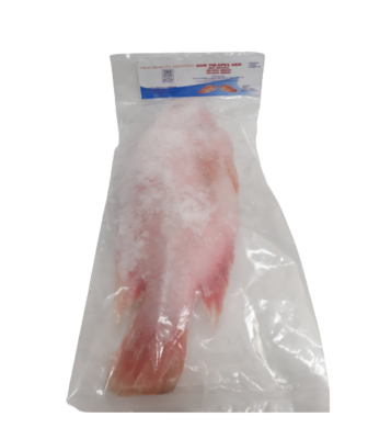 Tilapia Rouge/Red Tilapia SEAFOOD 1 Kg