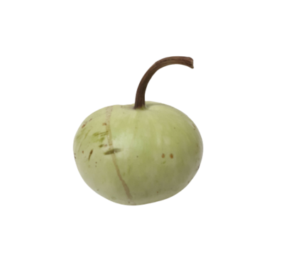 COURGETTE RONDE 500 g