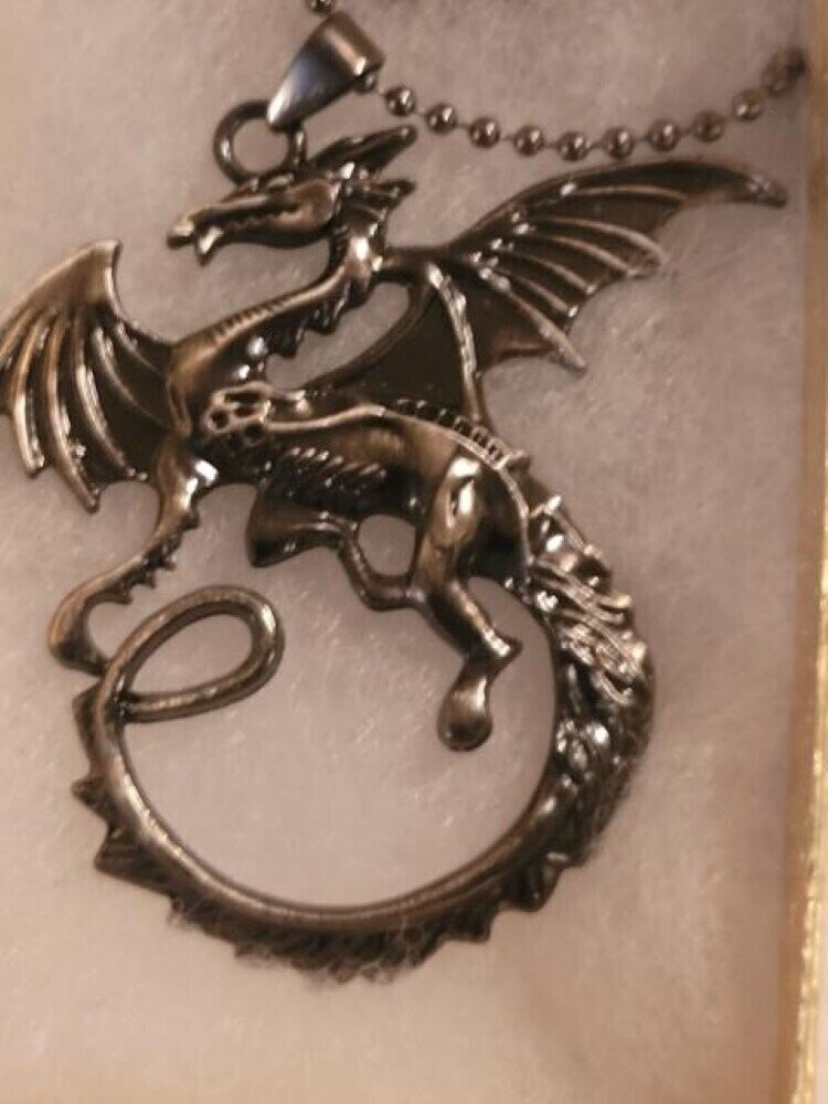Dragon Necklace Modern Casual Jewelry w/Gift Box CJ