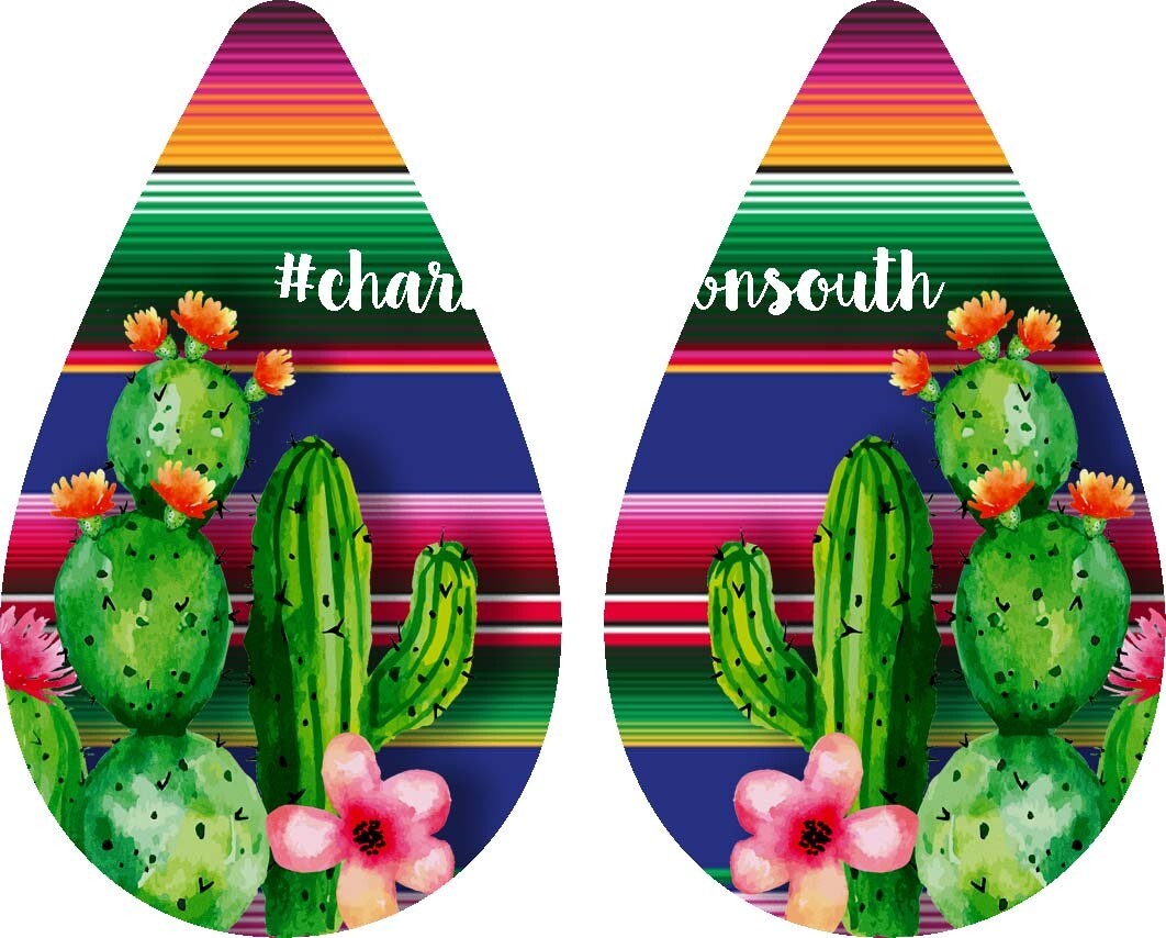 Serape Cactus Earring Design