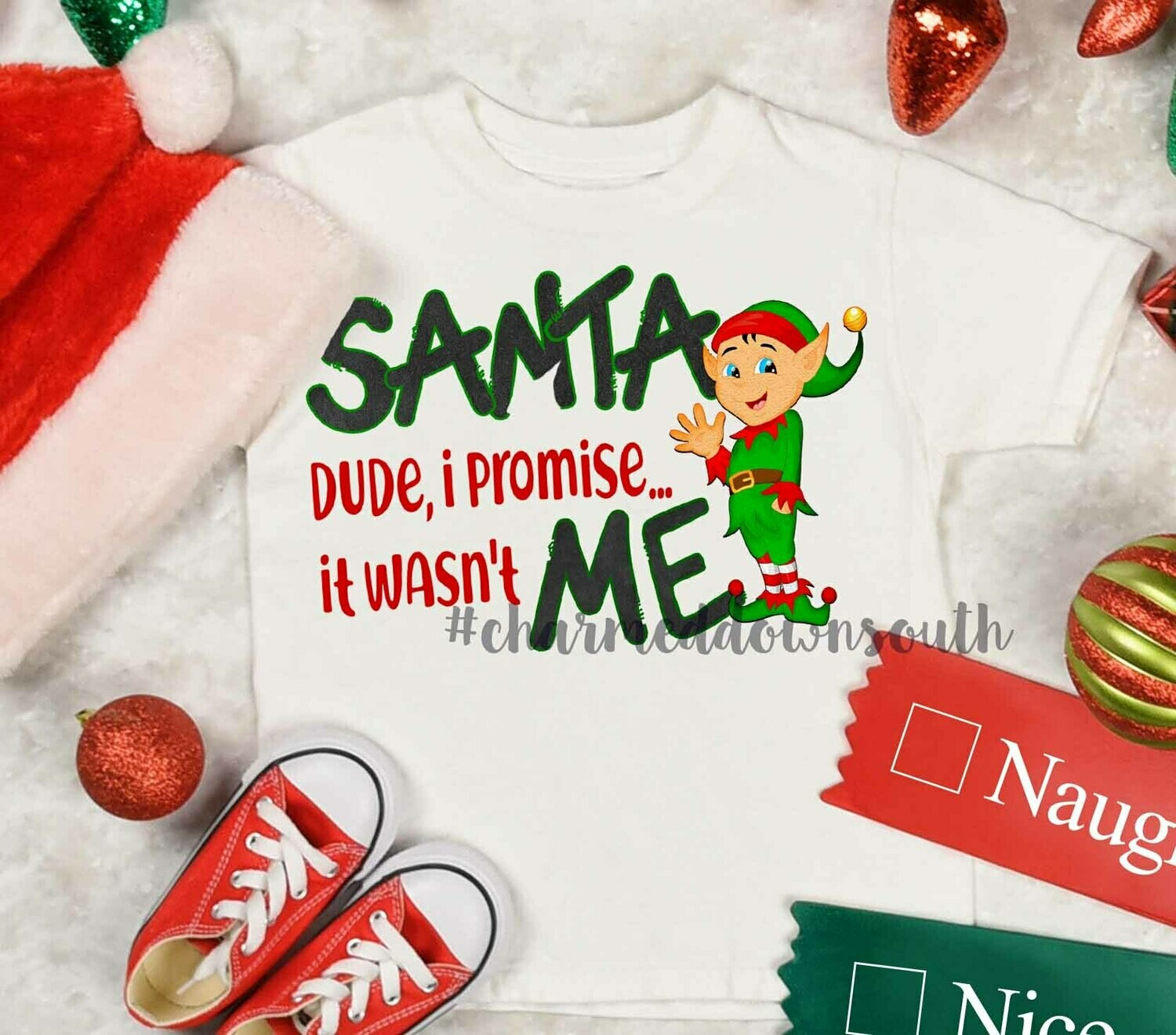 Santa Dude Digital Design
