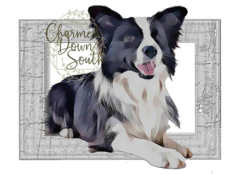 Border Collie Dog Portrait Rescued and Blank Digital Design (2 PNG files)