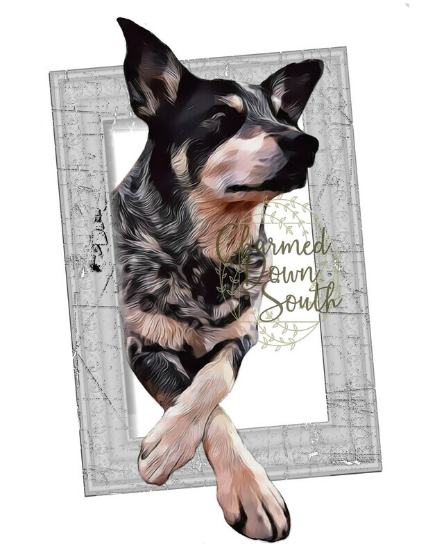 Blue Heeler Dog Portrait Rescued and Blank Digital Design (2 PNG files)