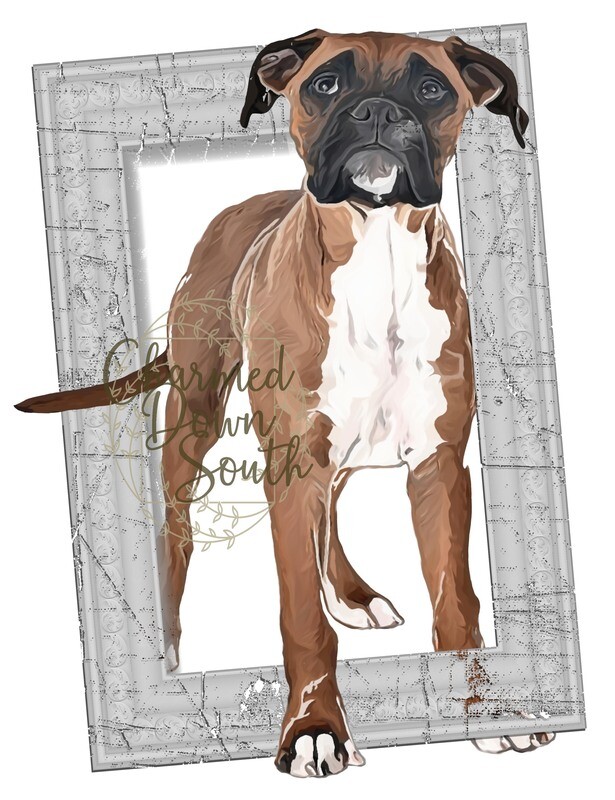 Boxer Dog Portrait Rescued and Blank Digital Design (2 PNG files)