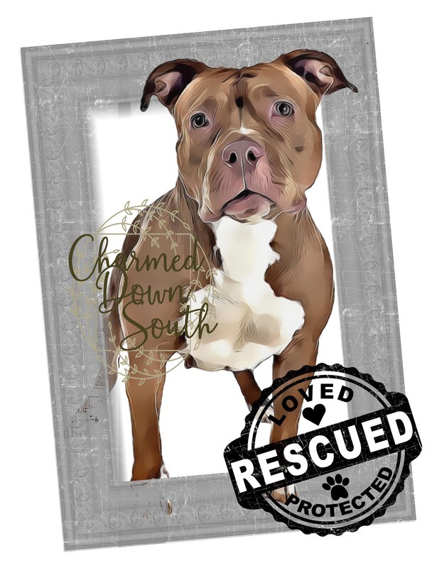 Bulldog (red) Dog Portrait Rescued and Blank Digital Design (2 PNG files)