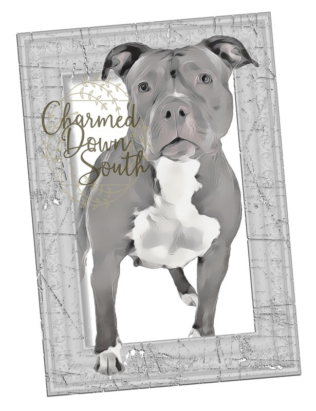 Bulldog (grey) Dog Portrait Rescued and Blank Digital Design (2 PNG files)