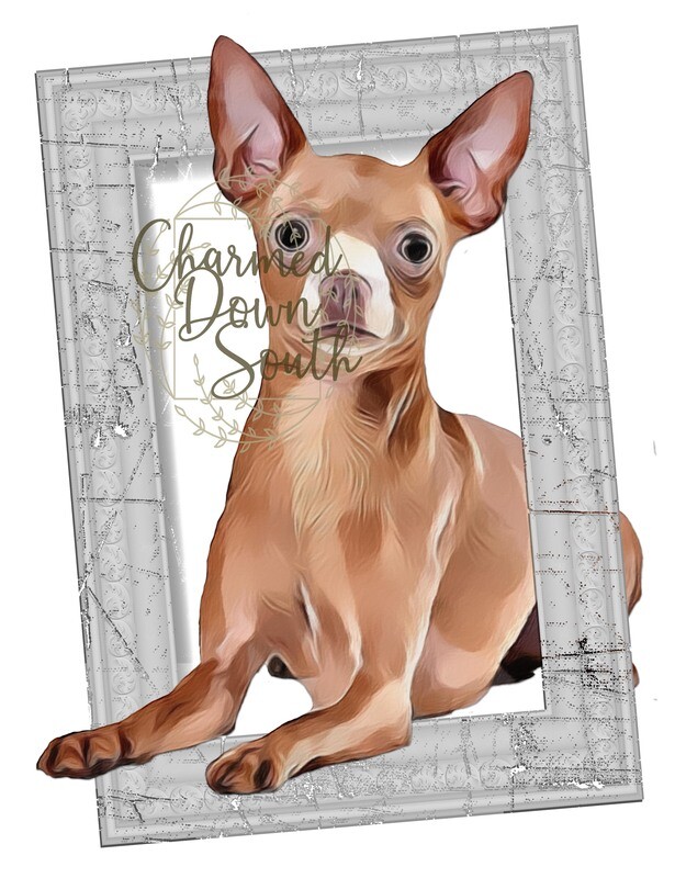 Chihuahua Dog Portrait Rescued and Blank Digital Design (2 PNG files)