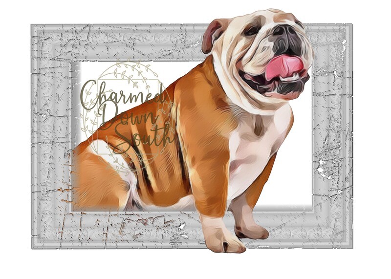 English Bulldog Dog Portrait Rescued and Blank Digital Design (2 PNG files)