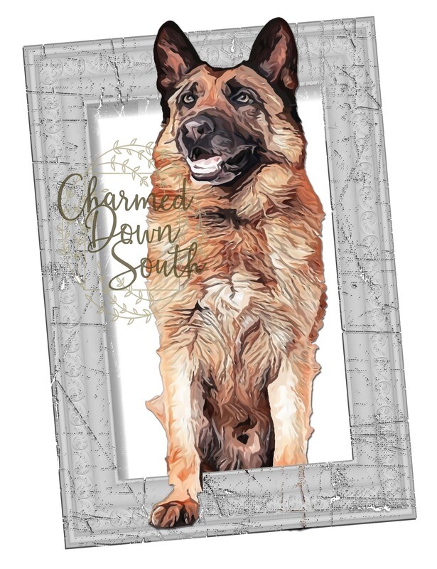 German Shepherd Dog Portrait Rescued and Blank Digital Design (2 PNG files)