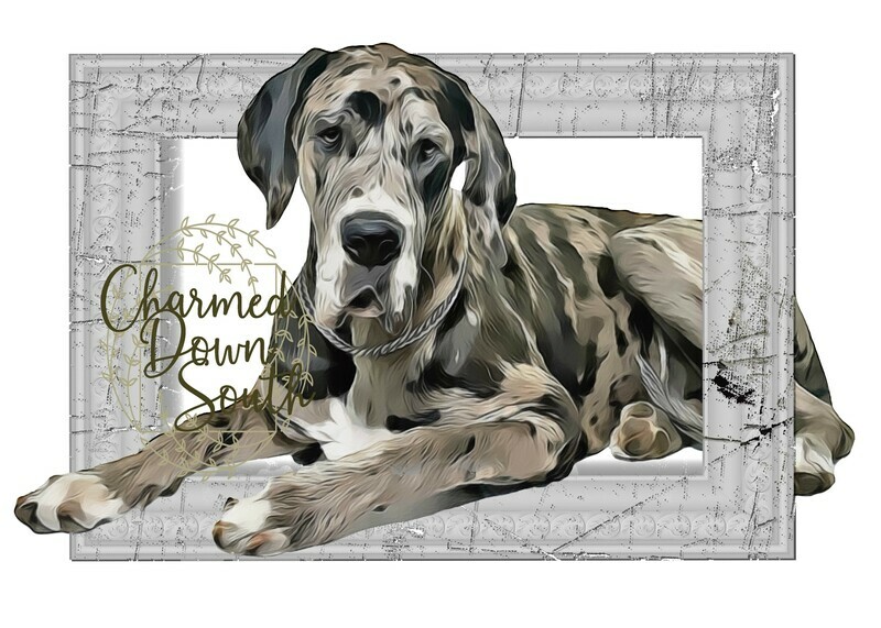 Great Dane Dog Portrait Rescued and Blank Digital Design (2 PNG files)