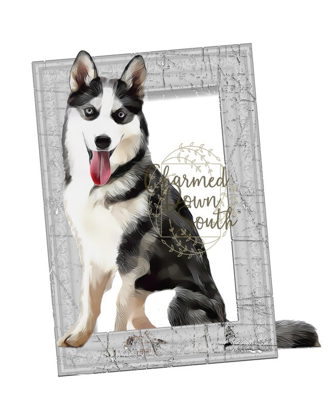 Huskie Dog Portrait Rescued and Blank Digital Design (2 PNG files)