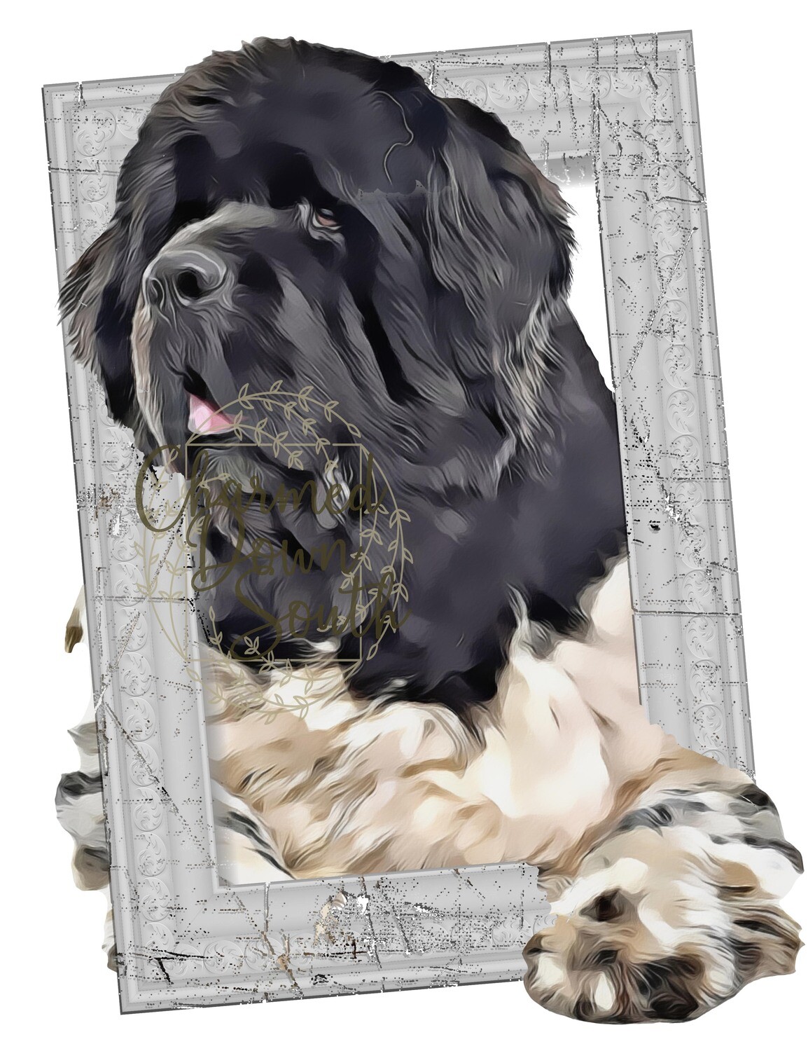 Newfoundland Dog Portrait Rescued and Blank Digital Design (2 PNG files)