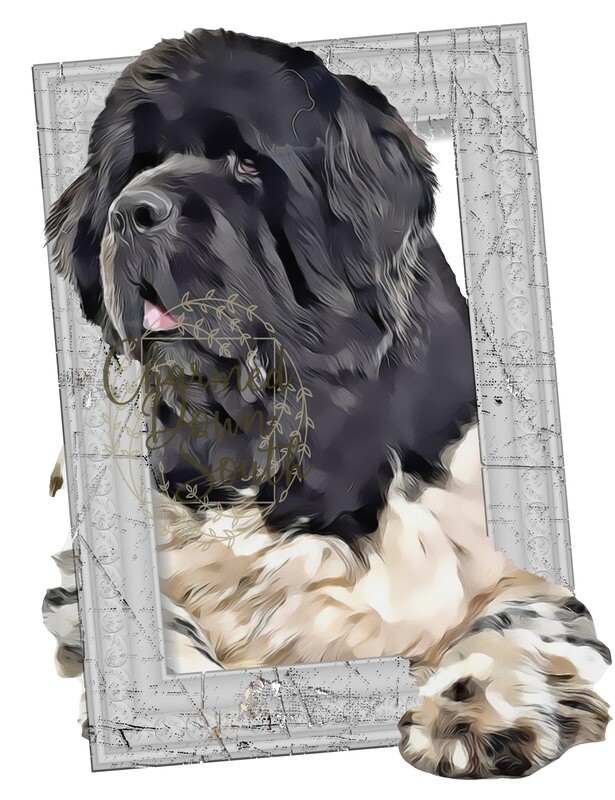 Newfoundland Dog Portrait Rescued and Blank Digital Design (2 PNG files)
