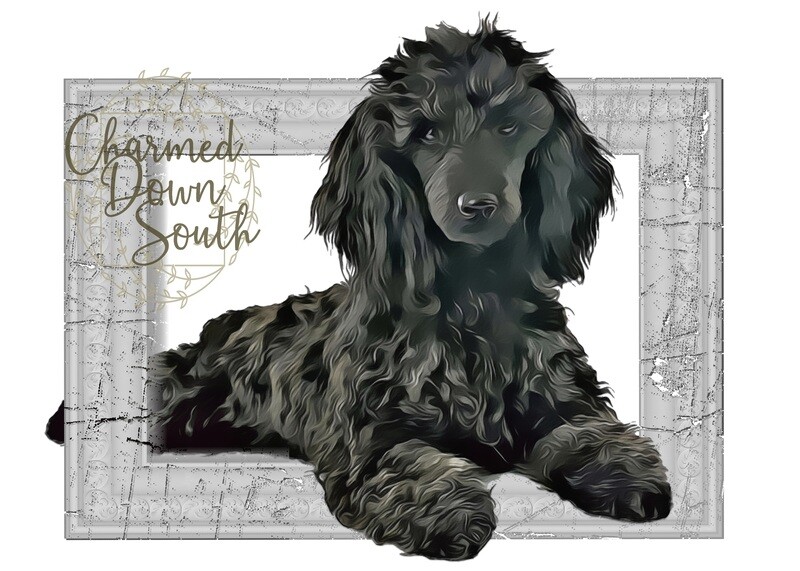 Poodle Dog Portrait Rescued and Blank Digital Design (2 PNG files)