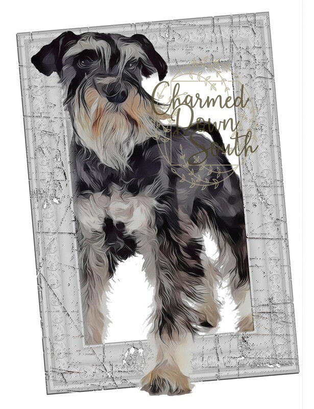 Schnauzer Dog Portrait Rescued and Blank Digital Design (2 PNG files)