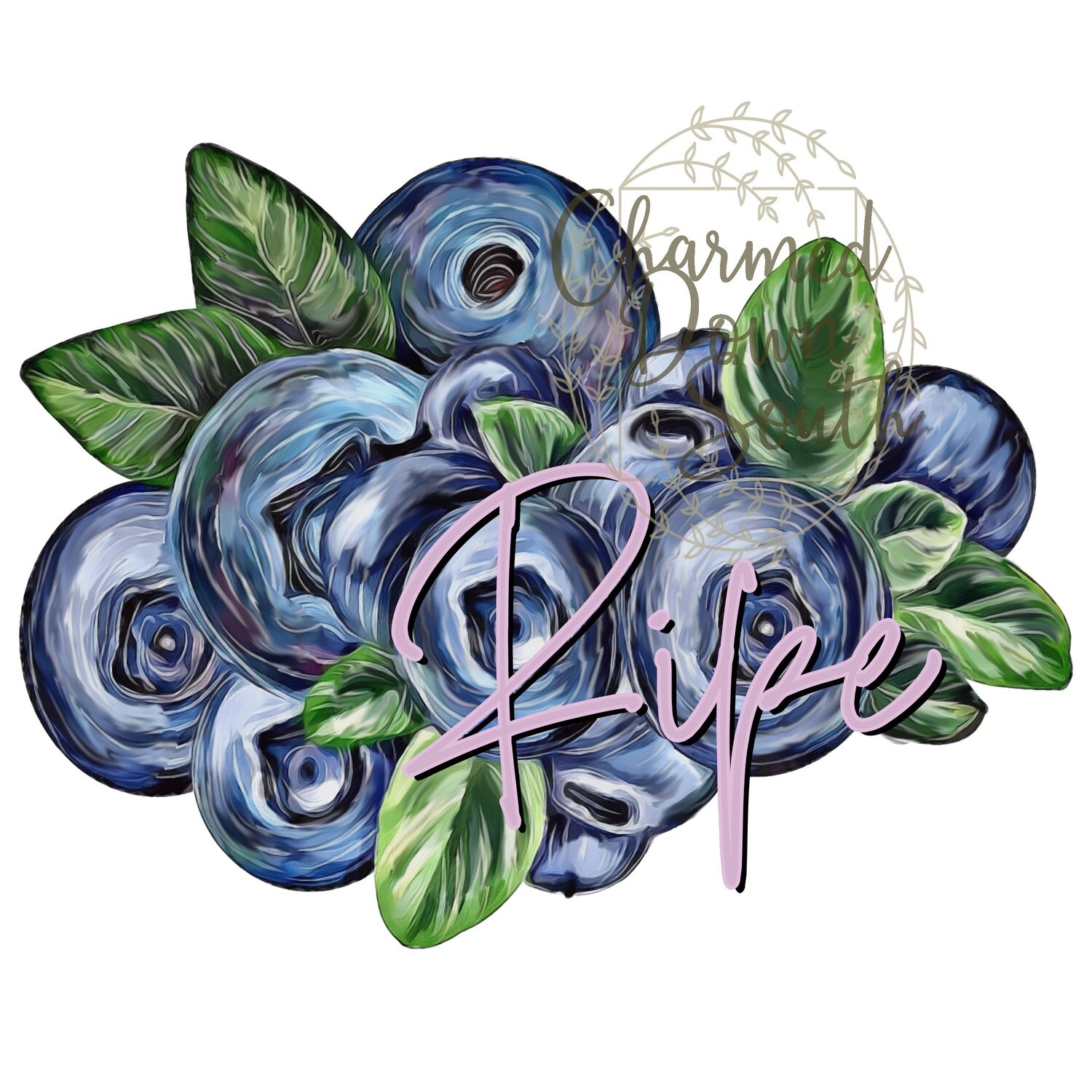 Watercolor Blueberries with and without text Digital Design 2 files