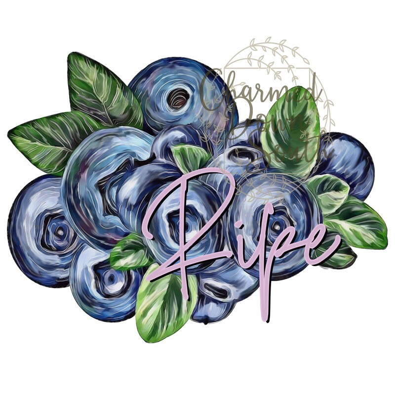Watercolor Blueberries with and without text Digital Design 2 files
