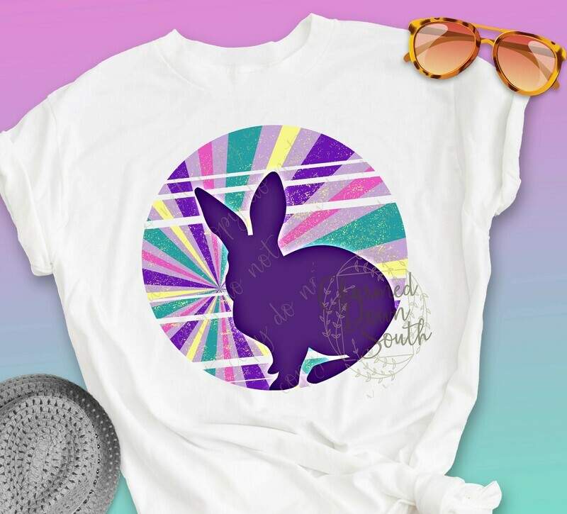 Bright Retro Bunny Split Circle Digital Design