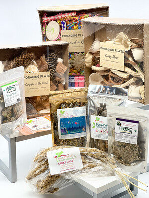 Foraging Flat Bundle for Mini, Small and Medium Birds