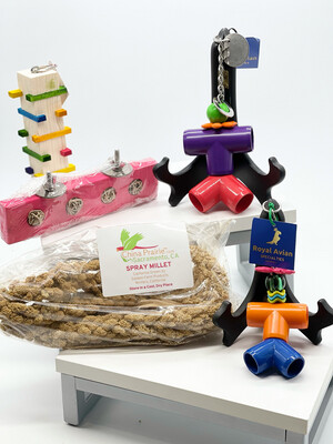 Mr & Mrs Foraging Bundle #1 for Tiny, Small and Medium Birds