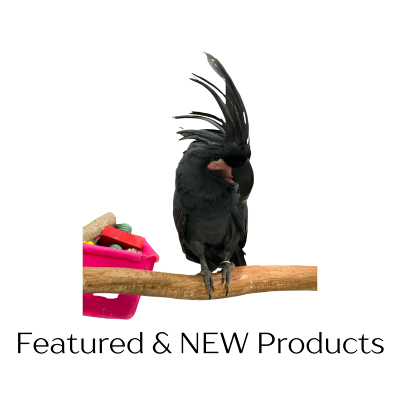 NEW & Featured Products