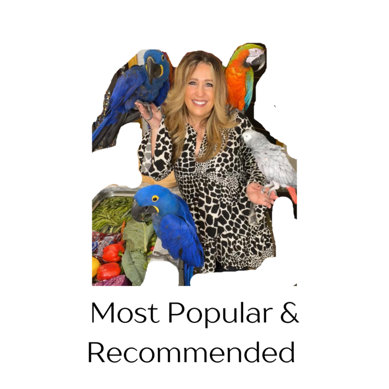Most Popular & Recommended