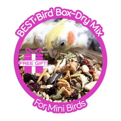 Thrive! Best Bird Box — Mini Birds (finches, canaries, cockatiels, budgies, parrotlets, love birds)