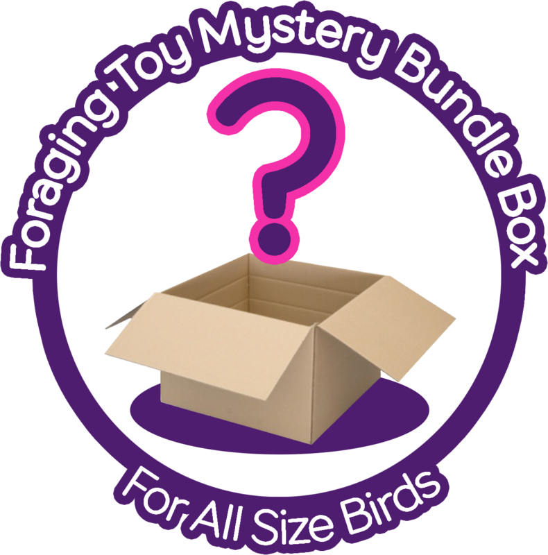 Mystery Foraging Toy Box