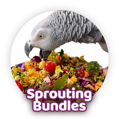 Sprouting! - Raw Food Mash and Soak &amp; Serve