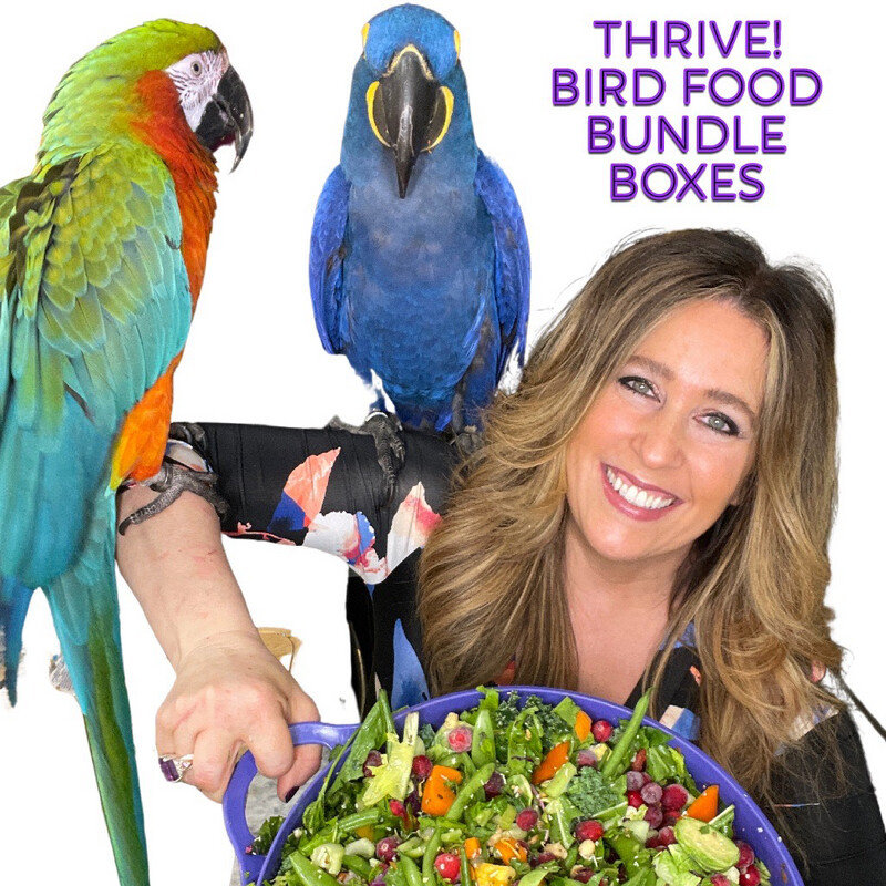 Thrive! Bird Food Bundle Boxes