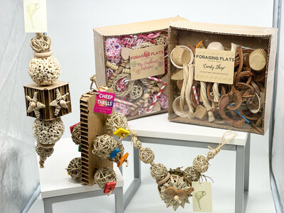 Natural Love Enrichment Bundle for Tiny, Small and Medium Size Birds