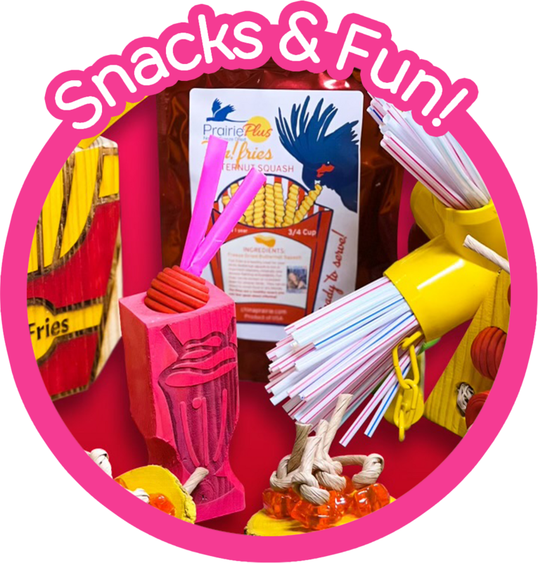 NEW! Snack and Fun Bundles