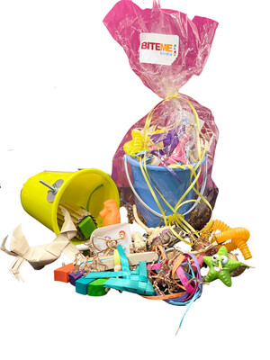 Sandy Cage Mount Beach Bucket Filled with Summer Fun