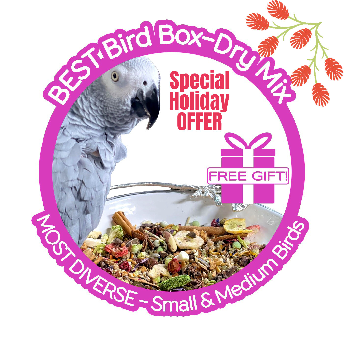 Holiday Thrive! Best Bird Box — Small & Medium Birds (Special Offer - Buy 1, Give 1 or Get 1 at 10% Off PLUS a FREE Extra Bag of FOOD In Each Box)