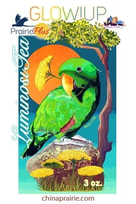 NEW! LuminosiTea -- Avian Tea formulated to Glow! Up those feathers! by China Prairie 3oz