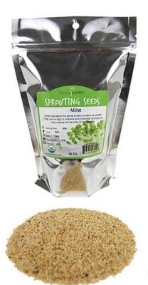Organic Millet Seeds for Sprouting or Ready to Serve from TrueLeafMarket