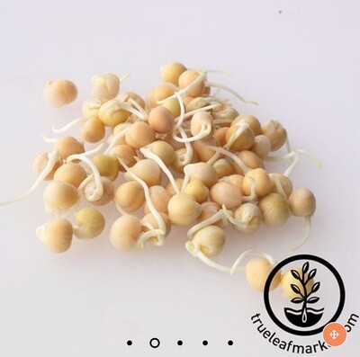 1 Lb Organic Yellow Peas for Sprouting
