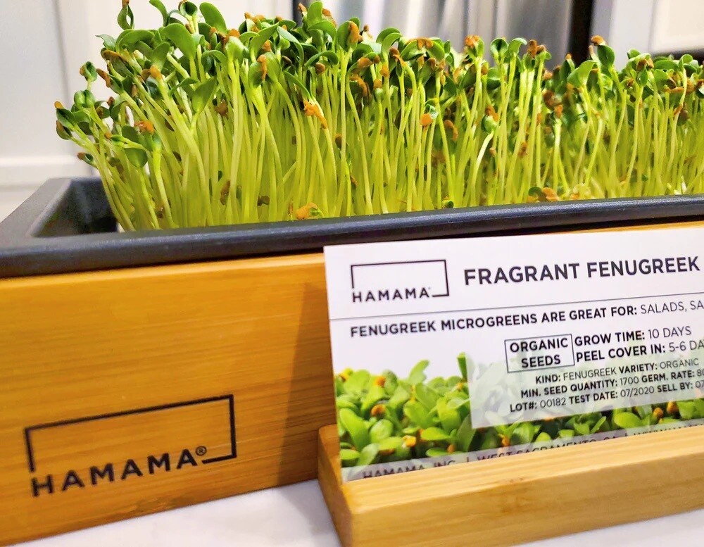 Fenugreek - Hydroponic Seed Quilt by Hamama - NOW Buy 1 Get 1 FREE! (you will receive 2)