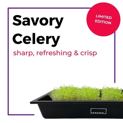 NEW! Savory Celery Hydroponic Seed Quilt by Hamama - Great Source of Natural Sodium that every bird needs! - NOW Buy 1 Get 1 FREE! (you will receive 2)
