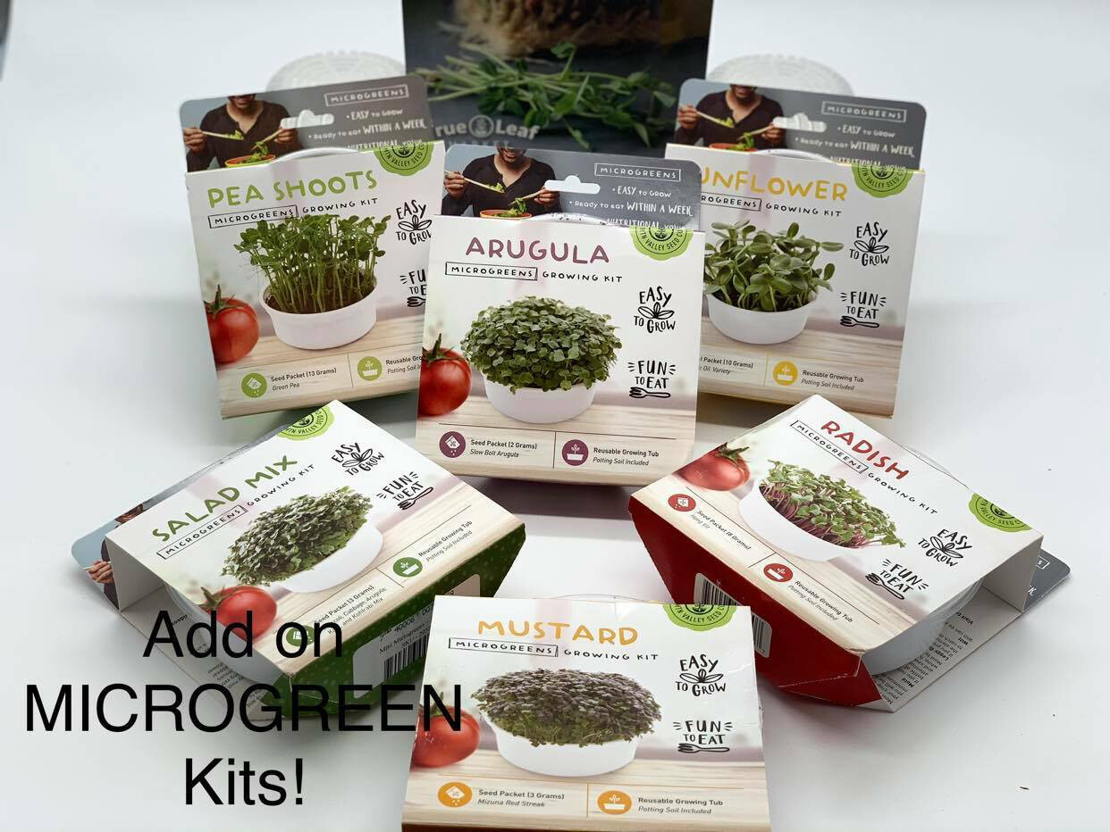 Mini Microgreens Salad Mix - Mini Kit by TrueLeaf Market