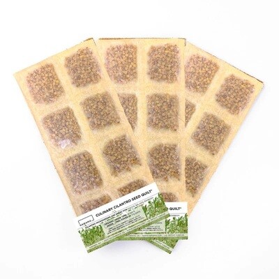 Culinary Cilantro - Hydroponic Seed Quilt by Hamama - NOW Buy 1 Get 1 FREE! (you will receive 2)