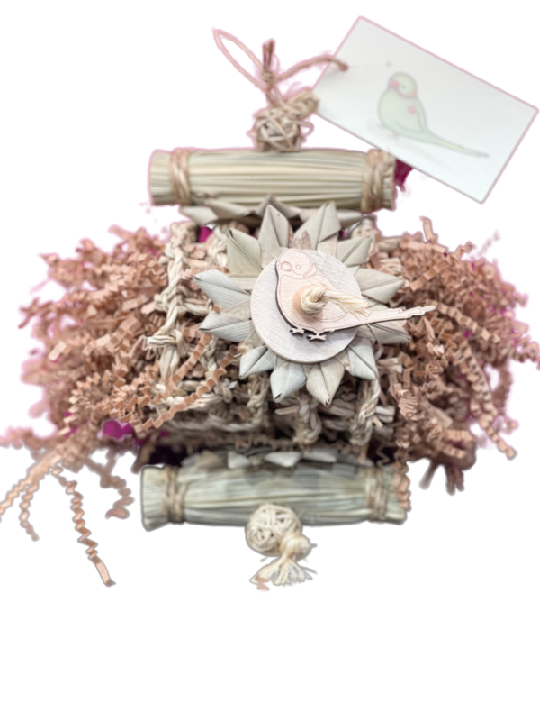 Seagrass Forager - By Little Dinos - Woven Seagrass, palm leaf, poplar wood, adorable bird wood cut out, vine balls, crinkle paper and sisal twine. For tiny to medium size birds. Hanging toy 9" x 5"